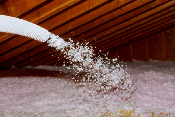 Best Residential Insulation in Medina, MN