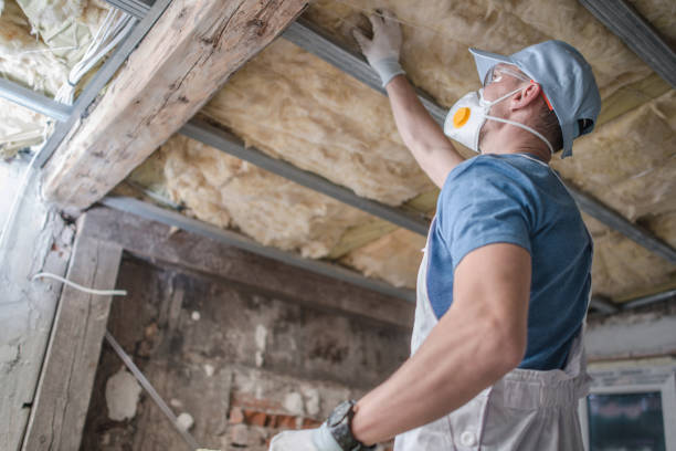 Best Specialty Insulation in Medina, MN